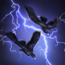 Summon Storm Crows
